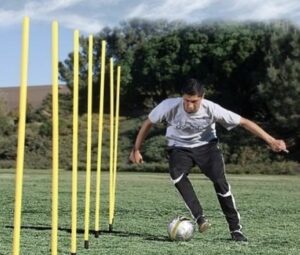 Freeplay PRO Speed Agility Stænger i Taske