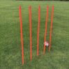 3 stk Freeplay Brudsikker Slalomstænger med Jordspyd - 160 cm